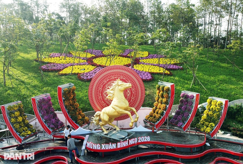 Linh vật ngựa ở Nghệ An được khen chăm tập gym - 1