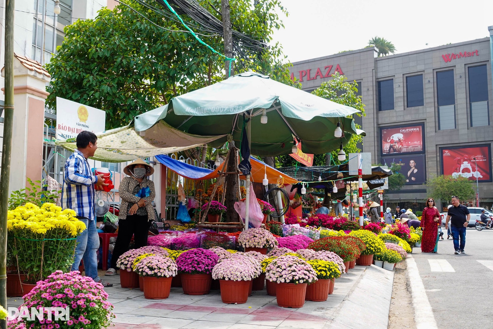 Chợ hoa Tết Cần Thơ nhộn nhịp, hoa cỡ vừa và nhỏ hút khách - 12