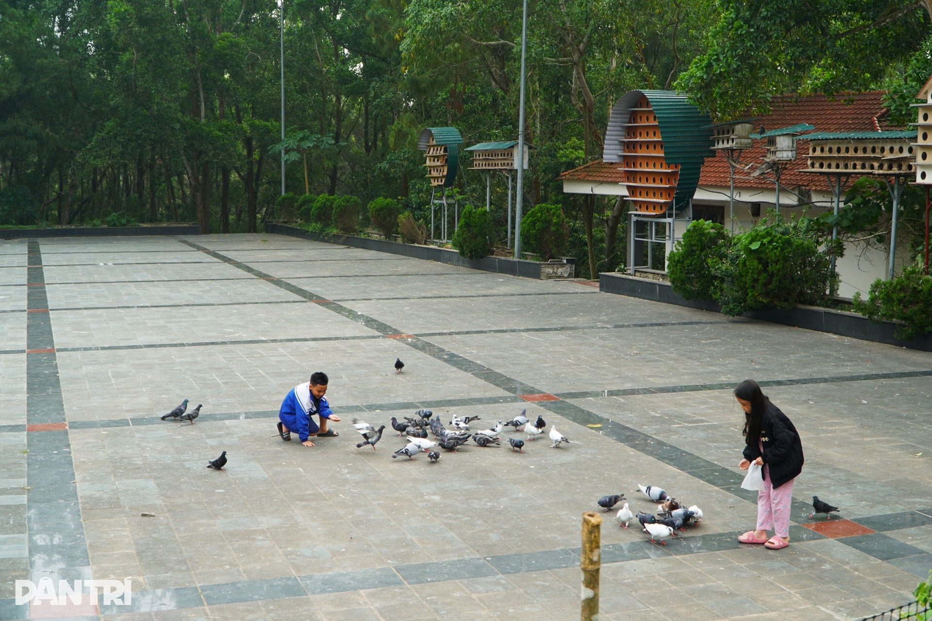 Hai phiến đá biểu tượng của tình yêu trên đỉnh Trường Lệ ở Sầm Sơn - 9 Hai phiến đá biểu tượng của tình yêu trên đỉnh Trường Lệ ở Sầm Sơn - 9