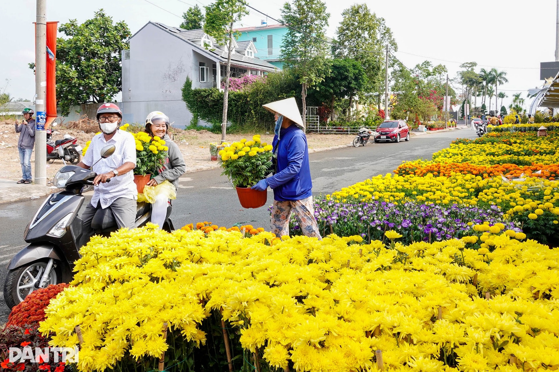 Chợ hoa Tết Cần Thơ nhộn nhịp, hoa cỡ vừa và nhỏ hút khách - 4