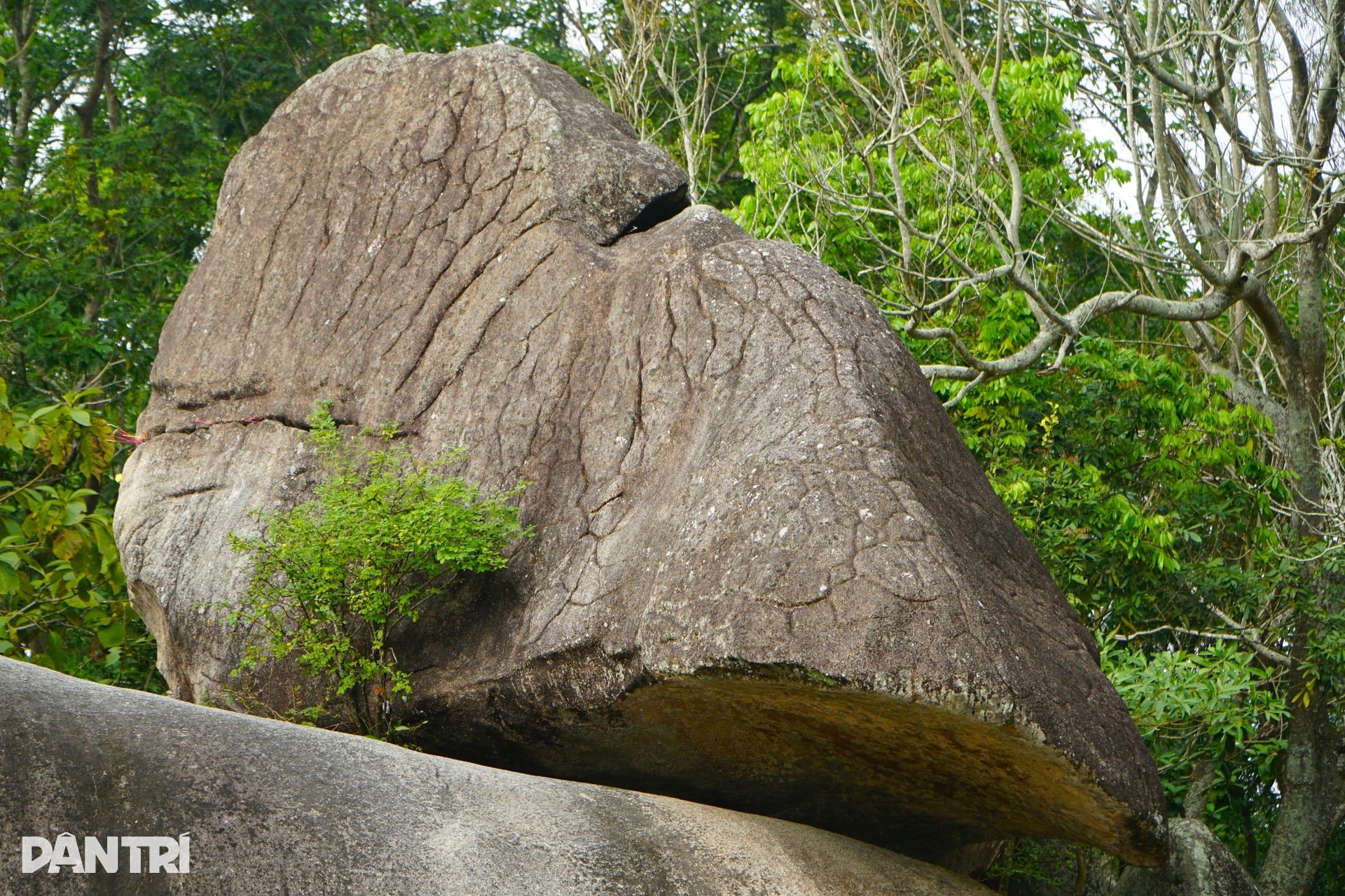 Hai phiến đá biểu tượng của tình yêu trên đỉnh Trường Lệ ở Sầm Sơn - 6 Hai phiến đá biểu tượng của tình yêu trên đỉnh Trường Lệ ở Sầm Sơn - 6