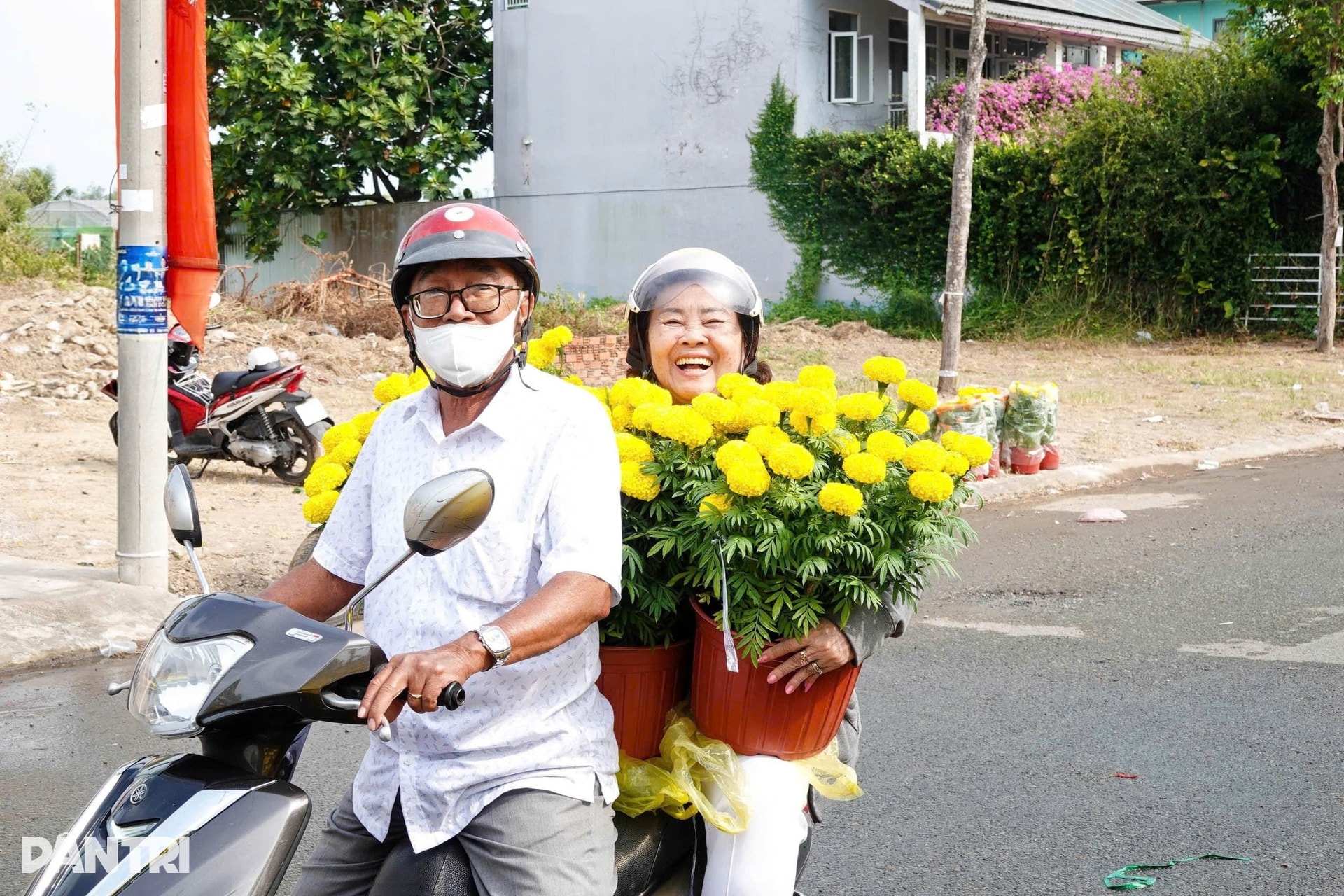 Chợ hoa Tết Cần Thơ nhộn nhịp, hoa cỡ vừa và nhỏ hút khách - 6