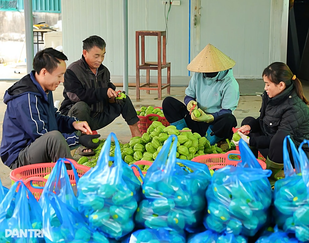 Người đàn ông bẻ lái khởi nghiệp thành công sau biến cố Covid-19 - 2