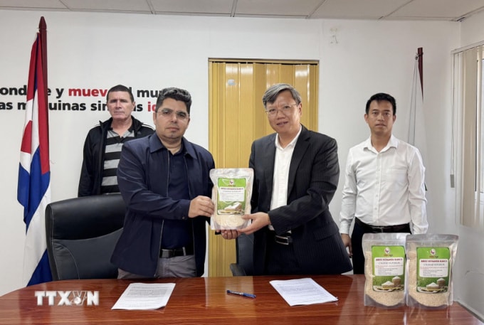 Đại sứ Việt Nam tại Cuba Lê Quang Long (phải) trao tượng trưng 250 tấn gạo cho Thứ trưởng Nông Nghiệp Cuba Telce Abdel Gonzalez. Ảnh: TTXVN