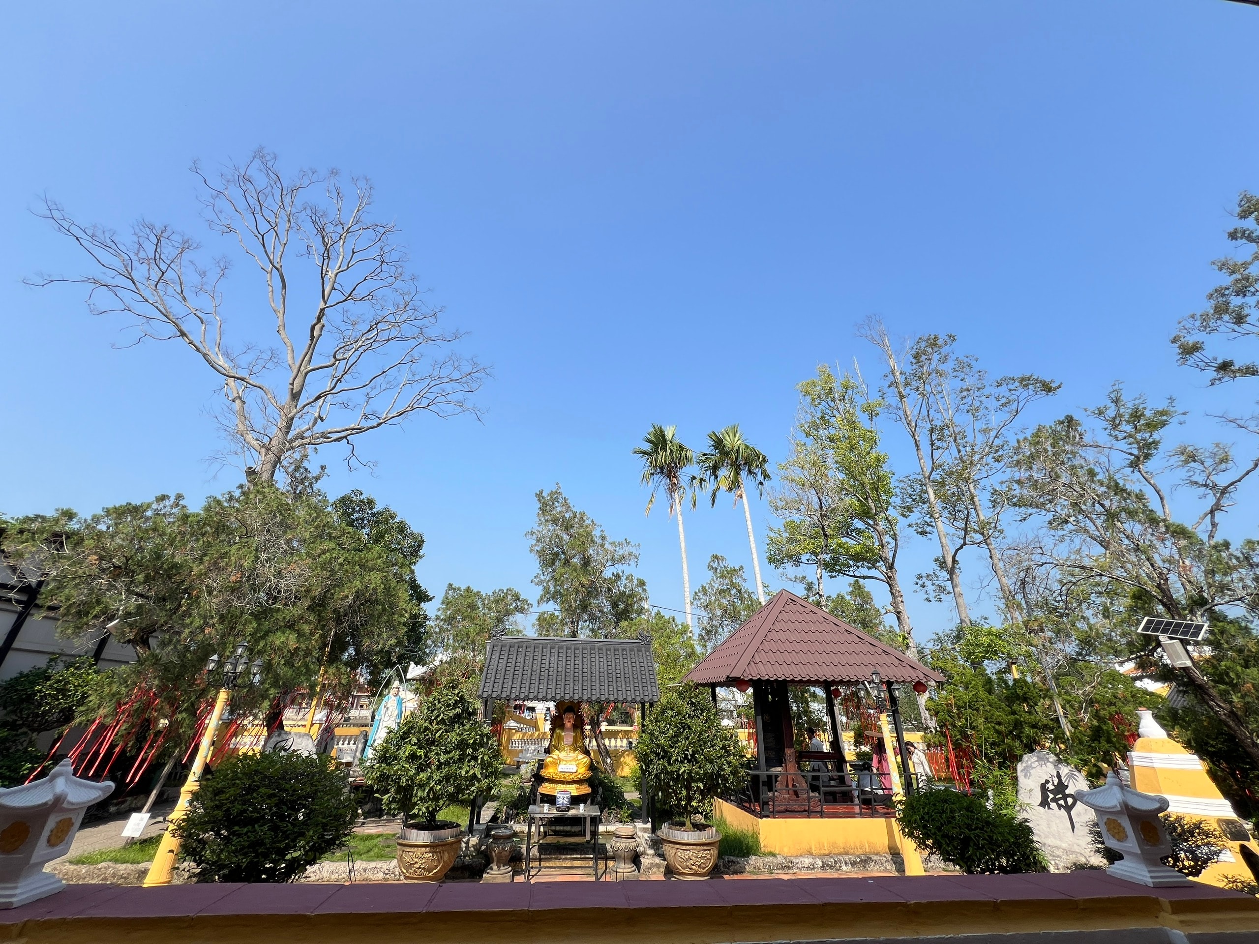 VIDEO: Chiêm ngưỡng ngôi chùa hơn 130 năm tuổi, là "địa chỉ đỏ" ở Cần Thơ - Ảnh 1.