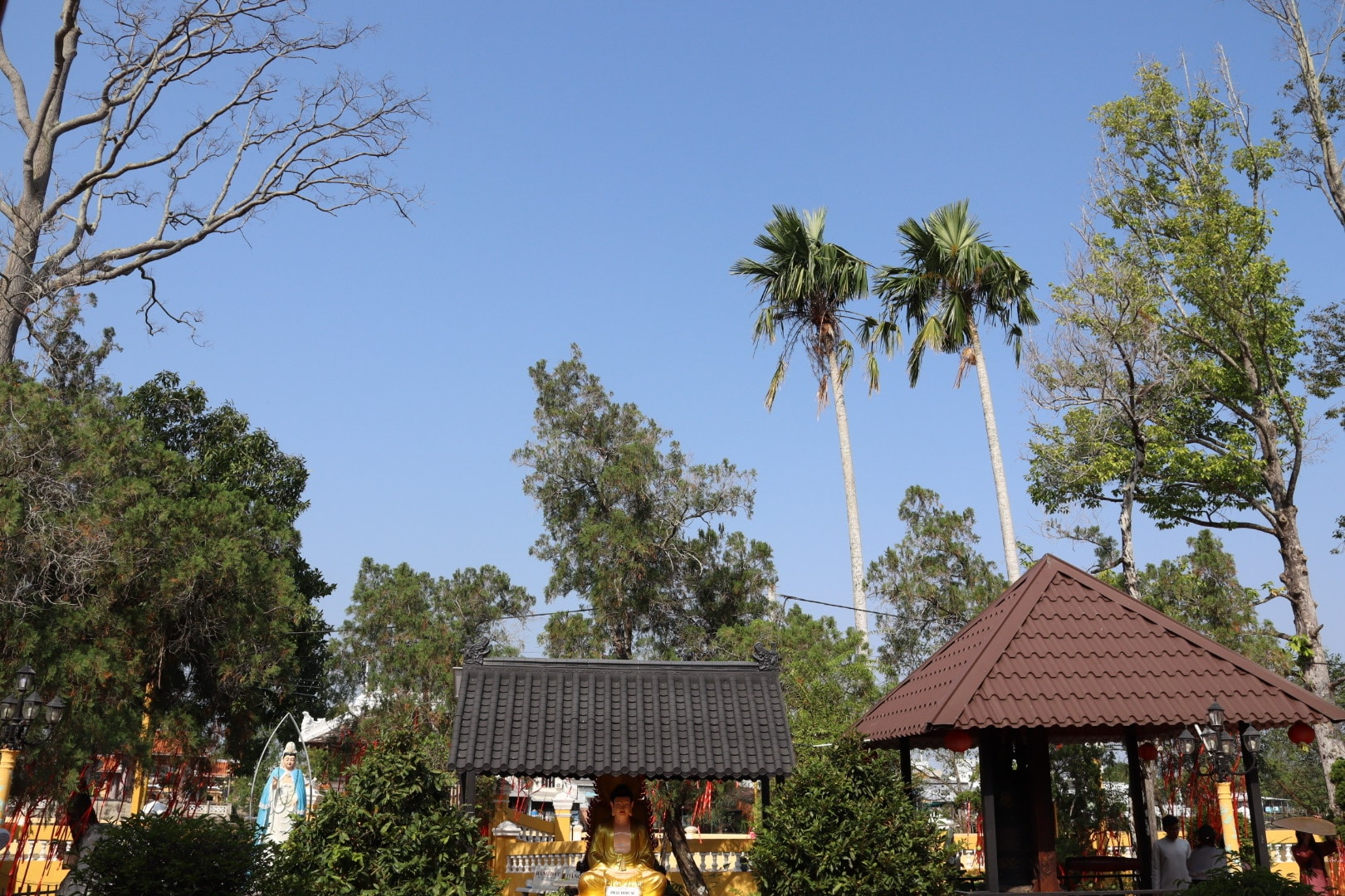 VIDEO: Chiêm ngưỡng ngôi chùa hơn 130 năm tuổi, là "địa chỉ đỏ" ở Cần Thơ - Ảnh 3.