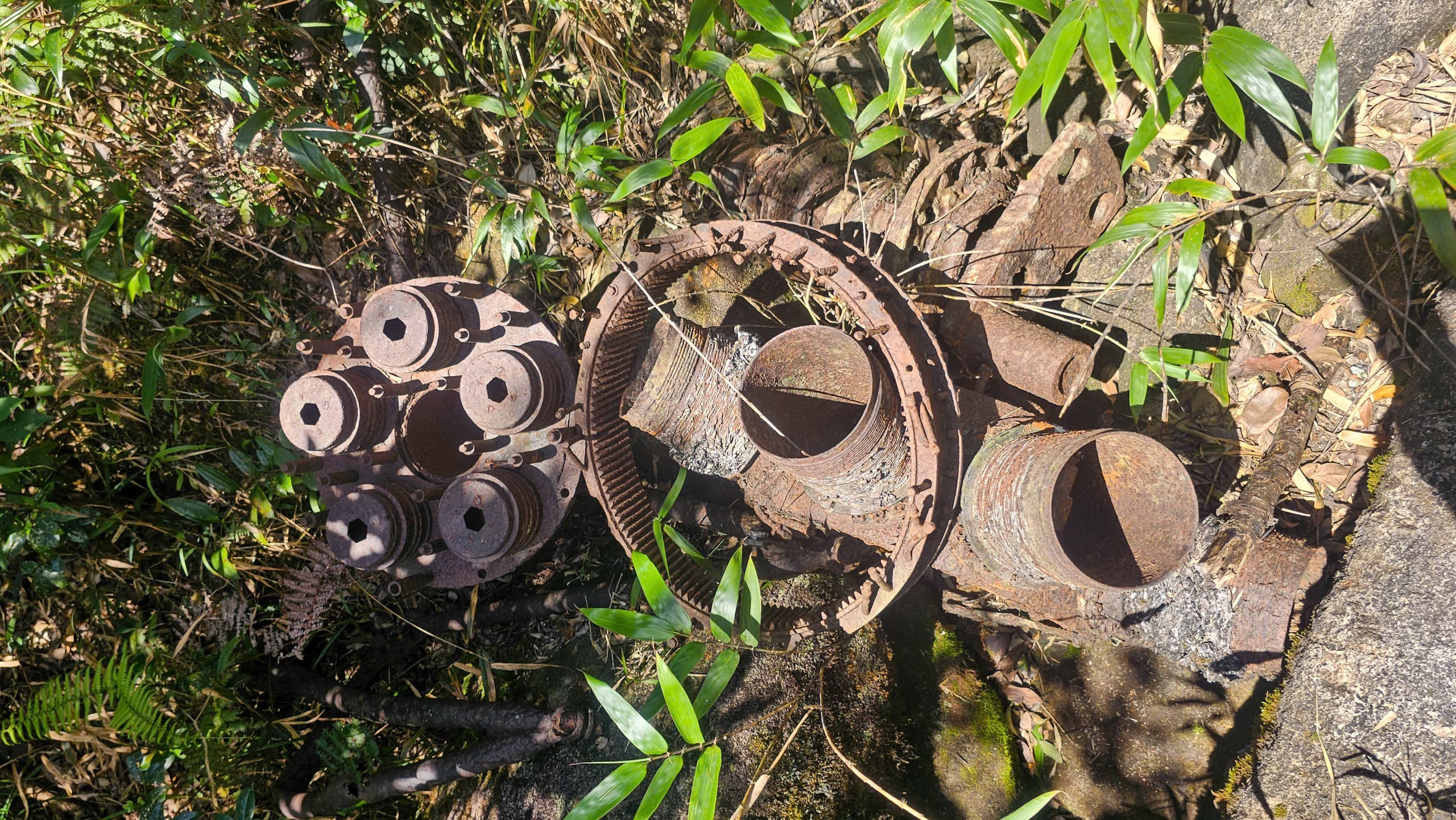 Du xuân trên "nóc nhà Quảng Trị" giữa mây Trường Sơn - Ảnh 17.