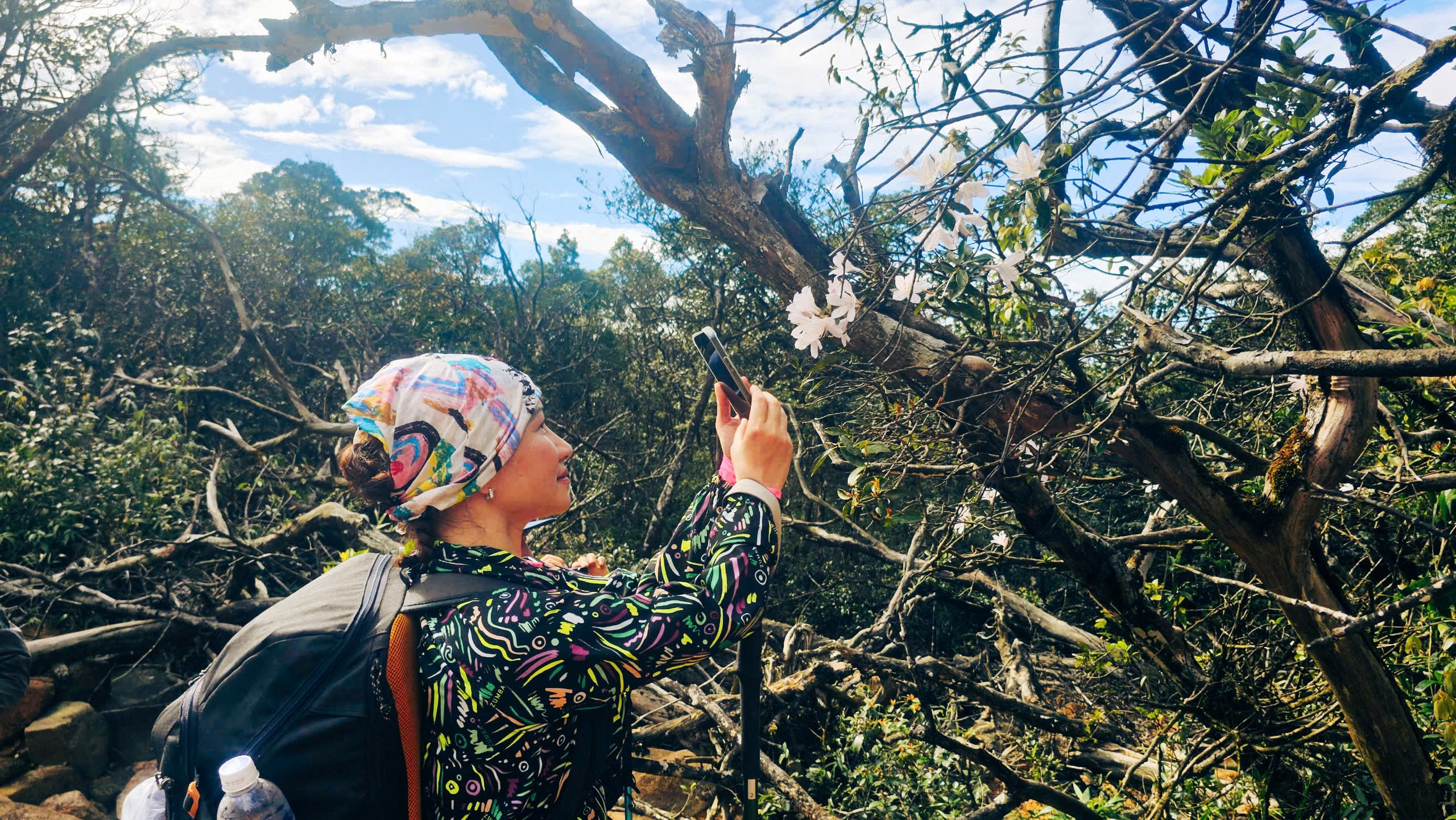 Du xuân trên "nóc nhà Quảng Trị" giữa mây Trường Sơn - Ảnh 19.