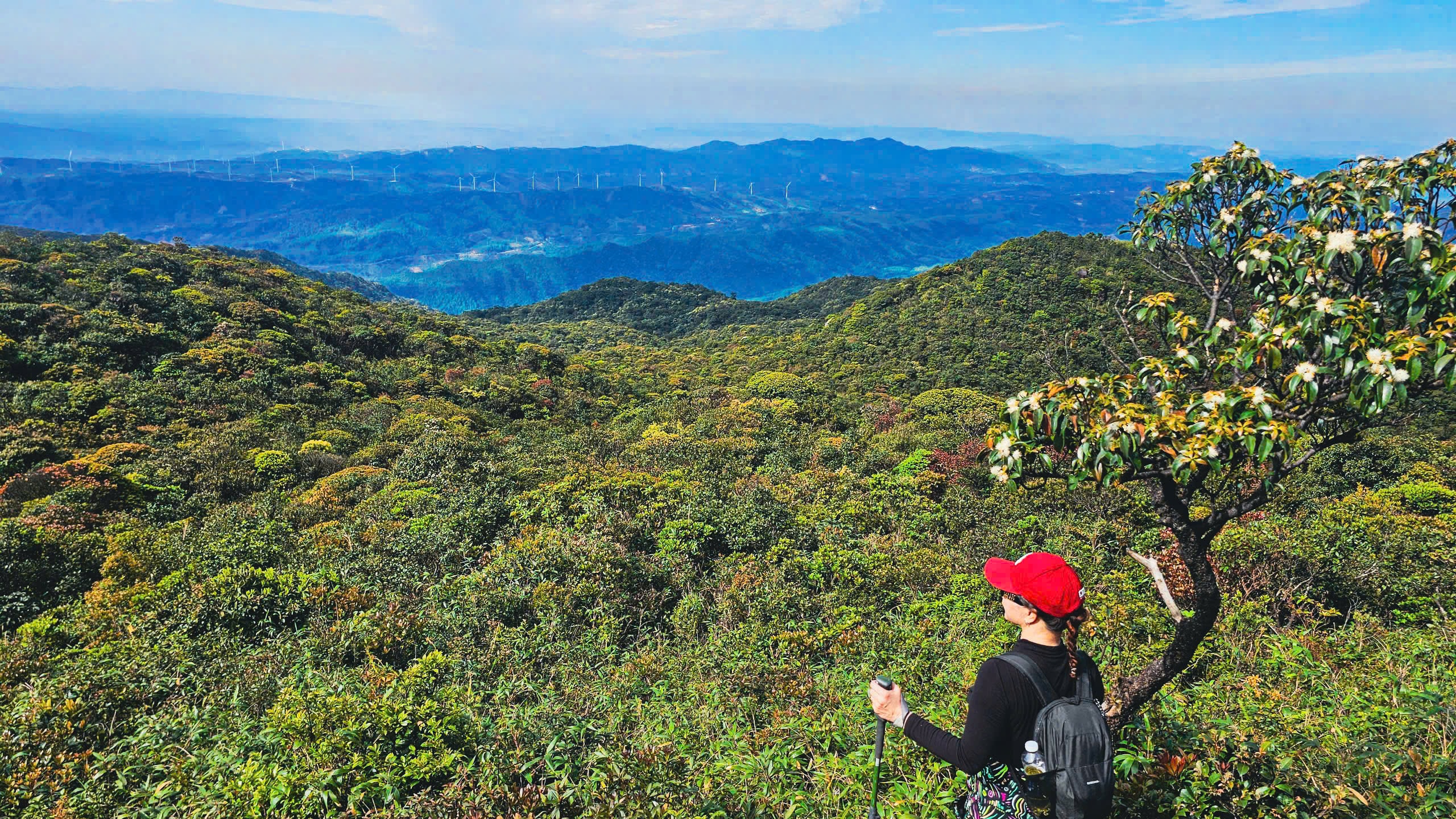 Du xuân trên "nóc nhà Quảng Trị" giữa mây Trường Sơn - Ảnh 20.