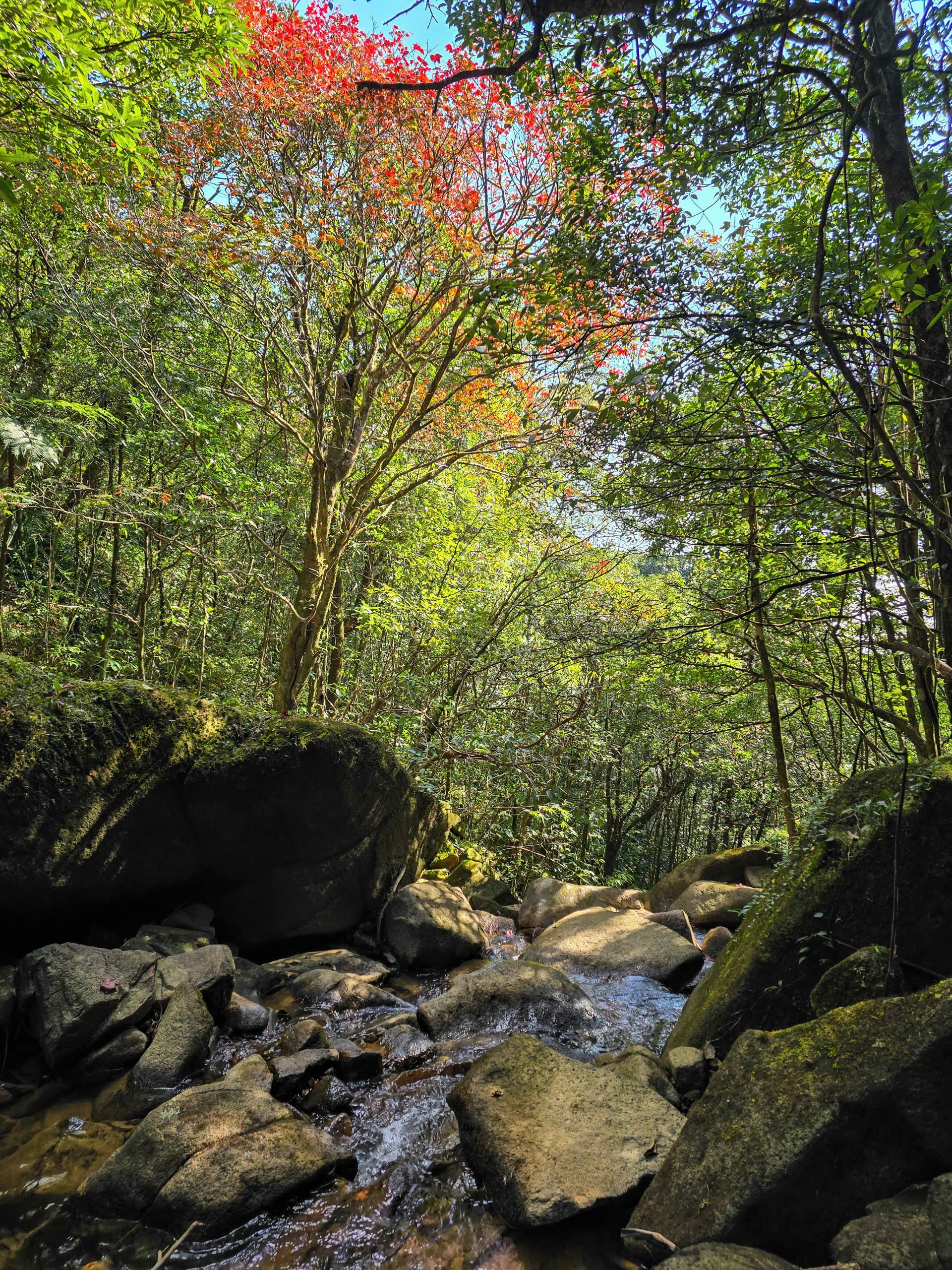 Du xuân trên "nóc nhà Quảng Trị" giữa mây Trường Sơn - Ảnh 8.