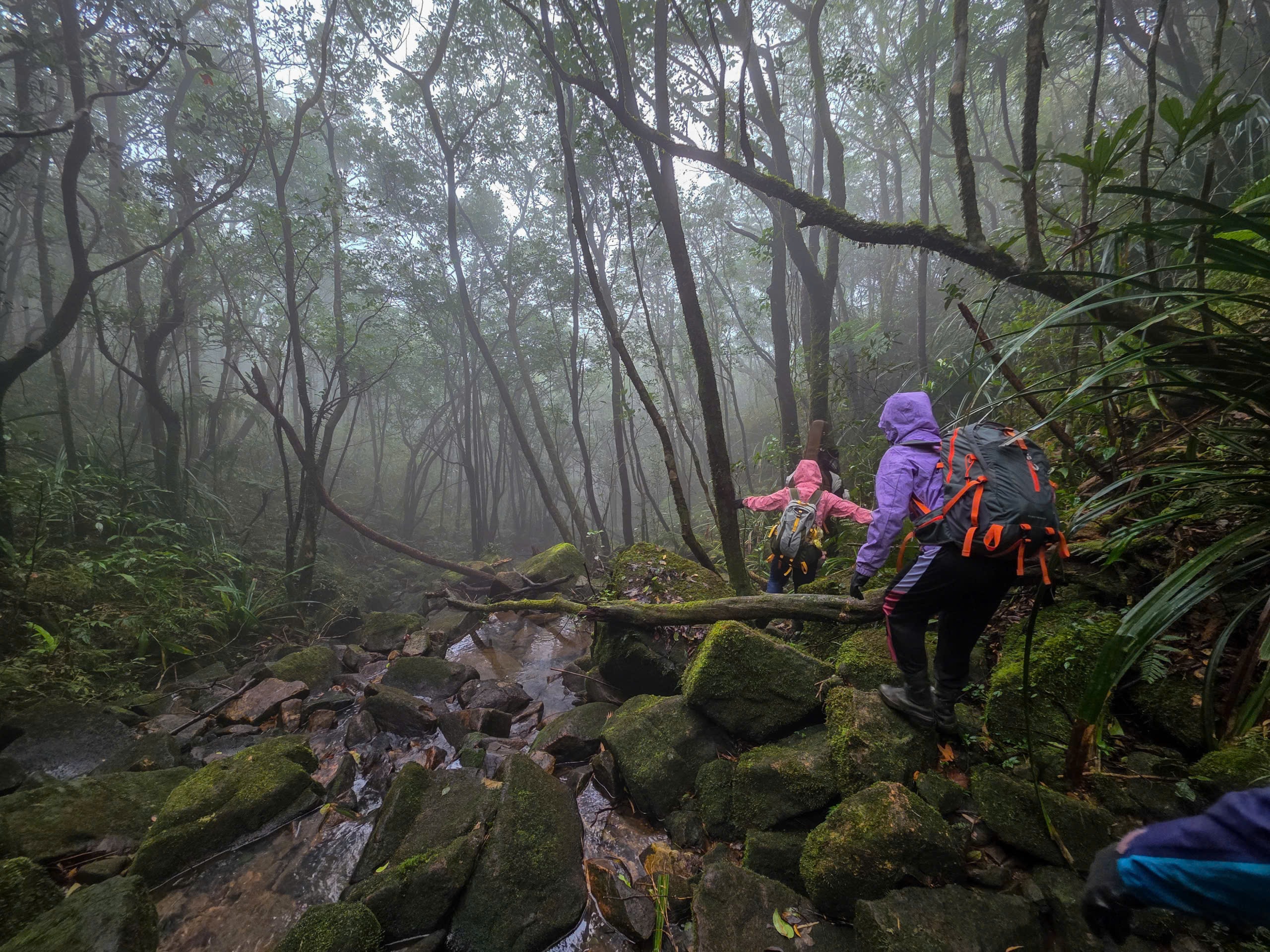 Du xuân trên "nóc nhà Quảng Trị" giữa mây Trường Sơn - Ảnh 10.