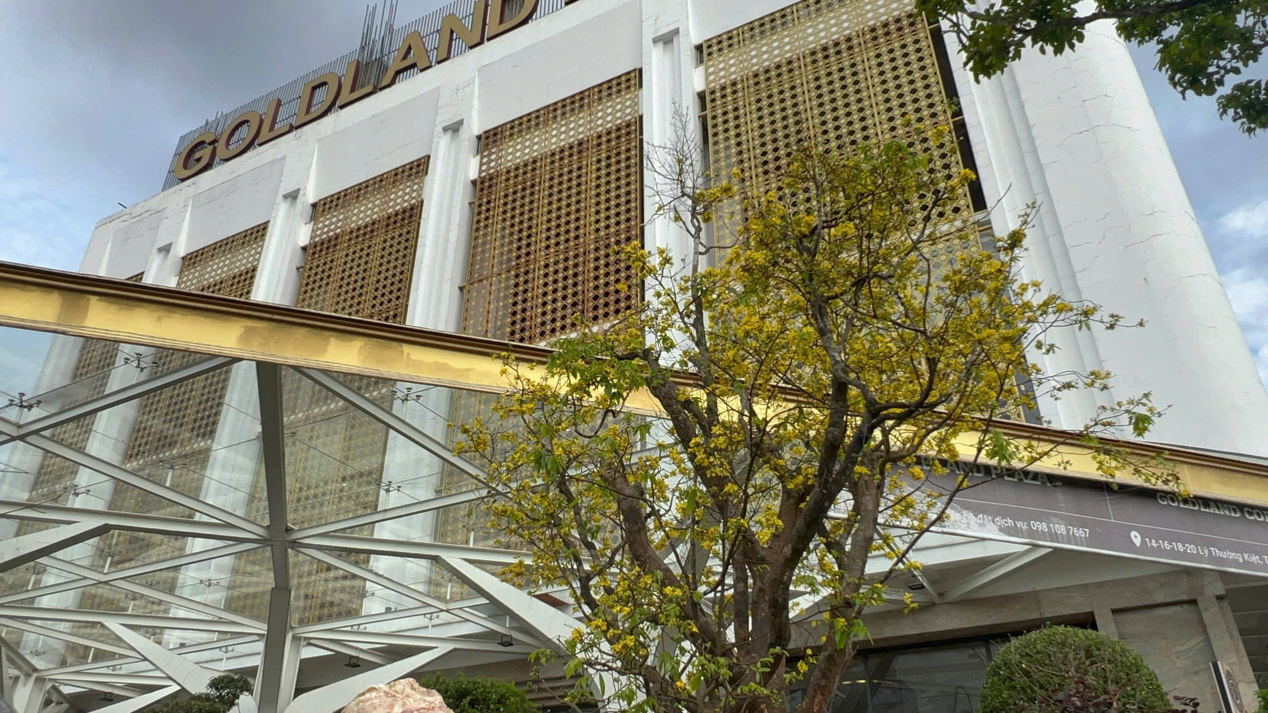 Ngỡ ngàng phố mai vàng ở giao lộ sầm uất bậc nhất xứ Huế - Ảnh 12.