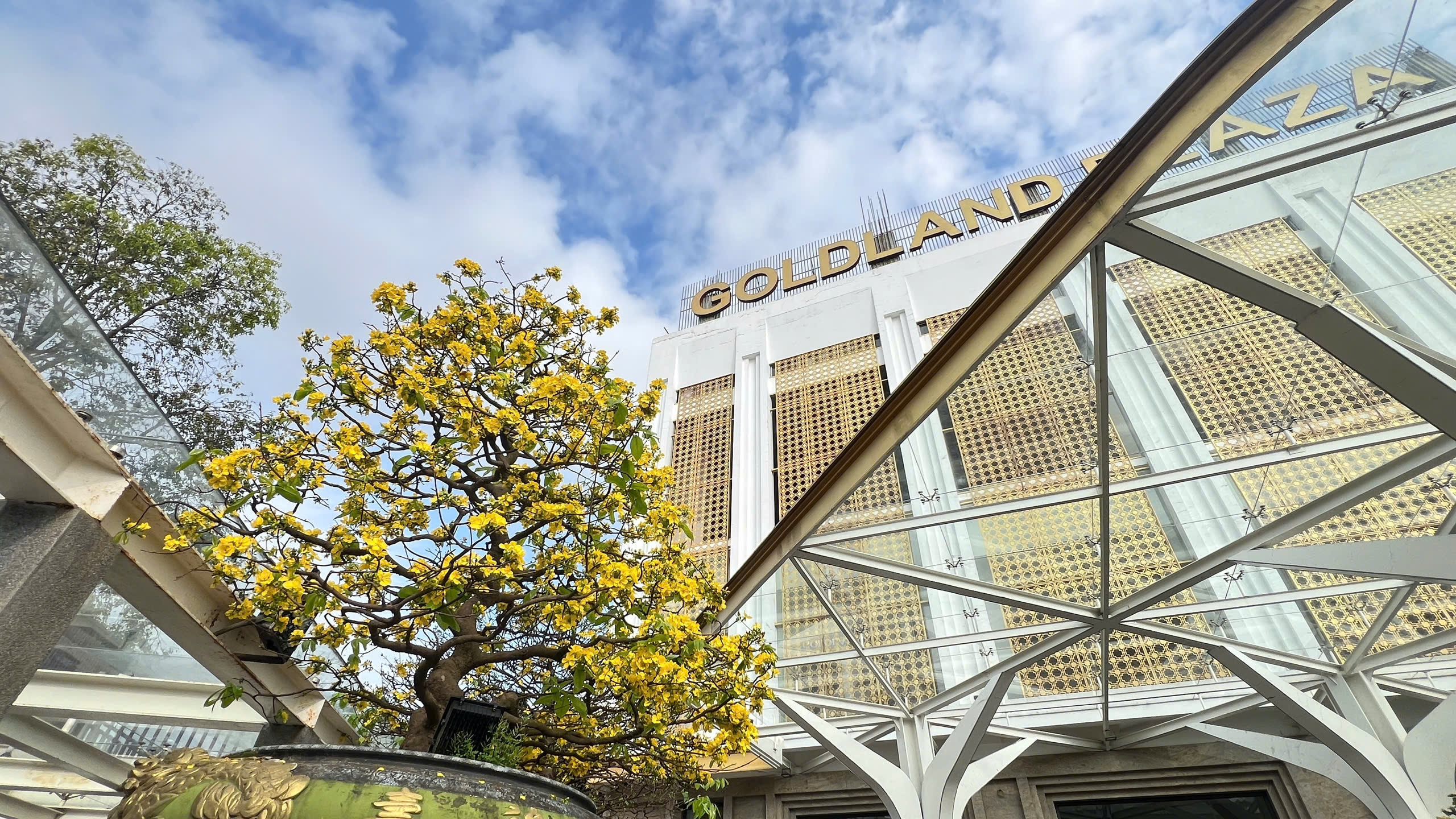 Ngỡ ngàng phố mai vàng ở giao lộ sầm uất bậc nhất xứ Huế - Ảnh 15.