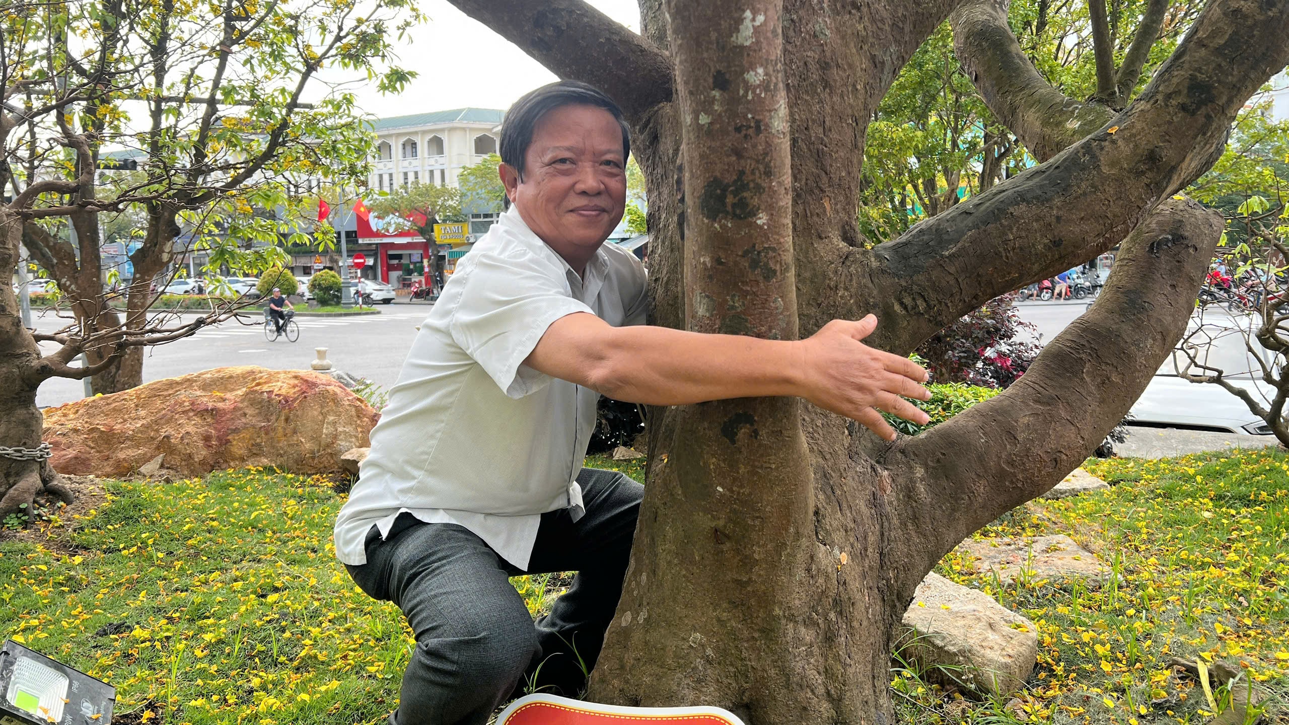 Ngỡ ngàng phố mai vàng ở giao lộ sầm uất bậc nhất xứ Huế - Ảnh 10.