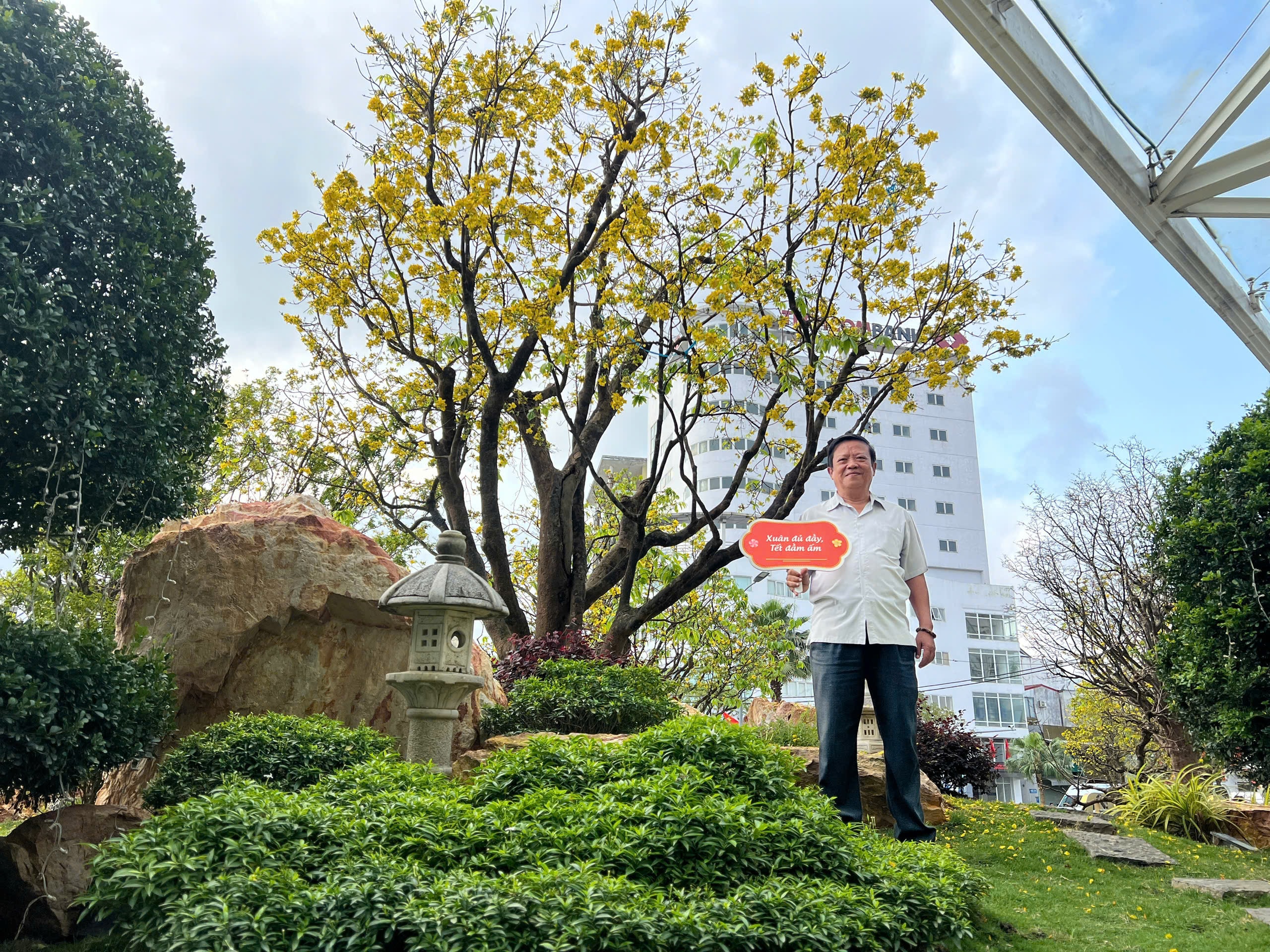 Ngỡ ngàng phố mai vàng ở giao lộ sầm uất bậc nhất xứ Huế - Ảnh 9.