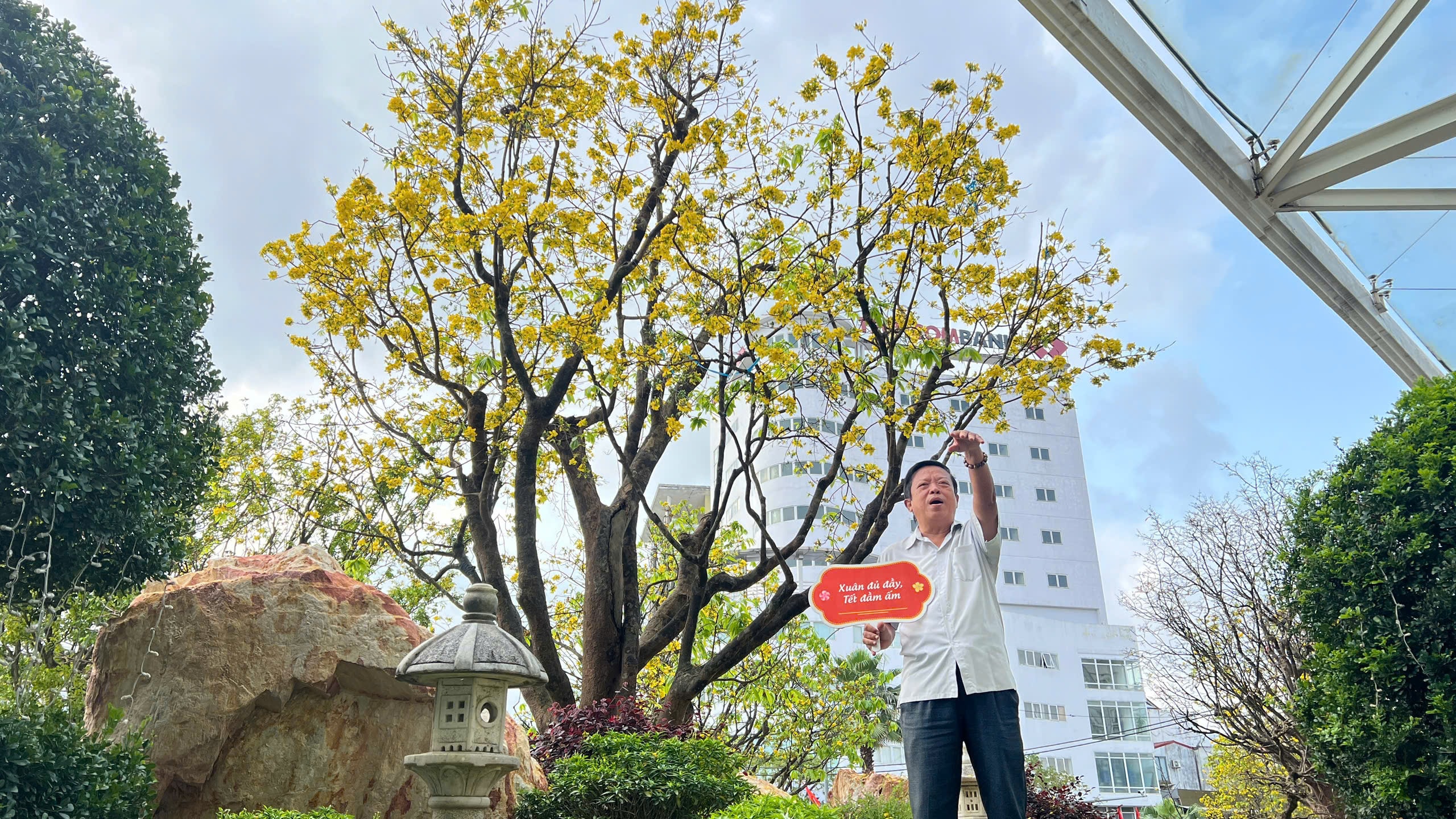 Ngỡ ngàng phố mai vàng ở giao lộ sầm uất bậc nhất xứ Huế - Ảnh 8.