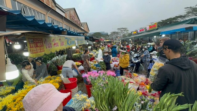 Thị trường hoa Tết 2026: Giá cả và xu hướng mua sắm tại chợ đầu mối - Ảnh 10.