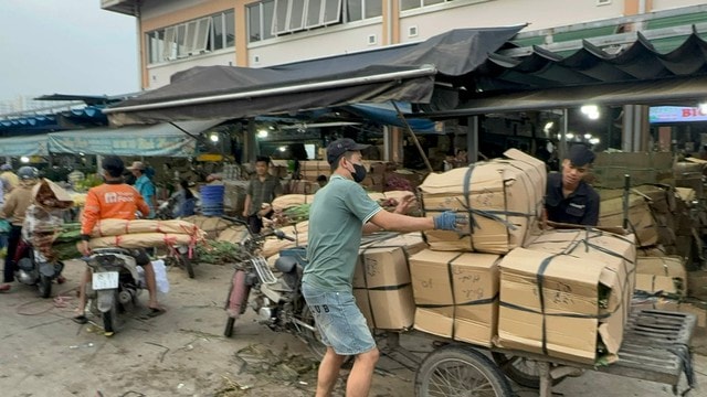 Thị trường hoa Tết 2026: Giá cả và xu hướng mua sắm tại chợ đầu mối - Ảnh 11.