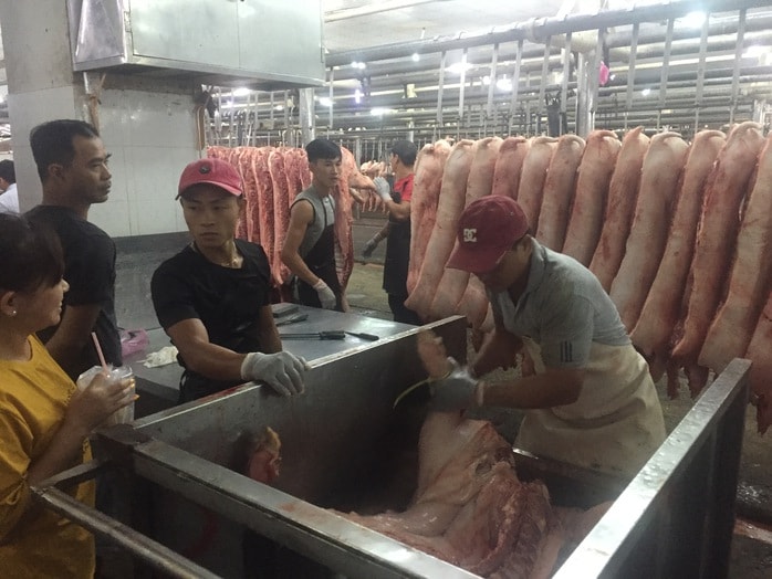 Giá heo hơi hôm nay 14 - 2: Giá thịt heo tăng cao Trước Tết Nguyên đán - Ảnh 1.