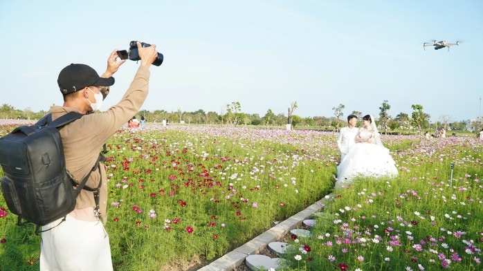 VIDEO: Cánh đồng hoa sao nhái tuyệt đẹp ở Cà Mau - Ảnh 13.