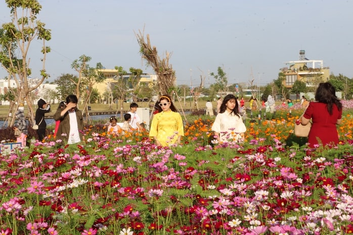 VIDEO: Cánh đồng hoa sao nhái tuyệt đẹp ở Cà Mau - Ảnh 7.