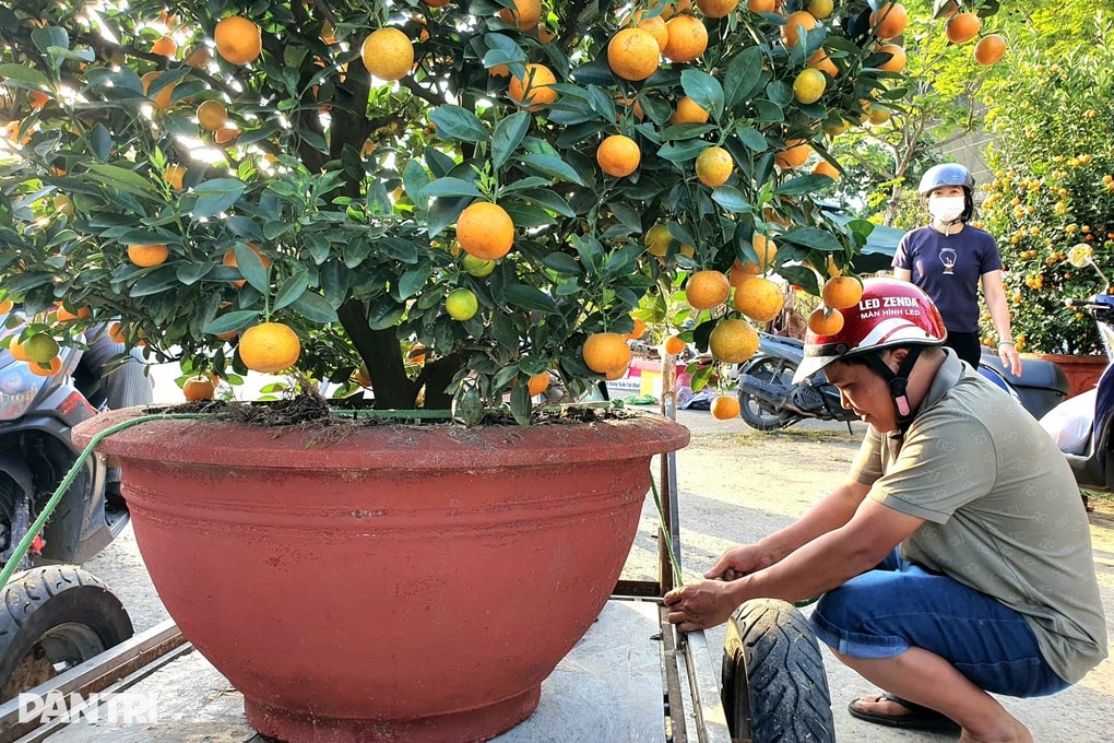 Nghề phu hoa kiếm tiền triệu ngày cuối năm - 2