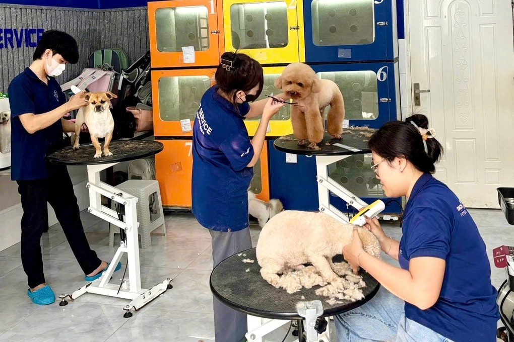 Dịch vụ chăm sóc thú cưng “cháy lịch” dịp Tết, chủ tiệm làm việc xuyên đêm - 3 Dịch vụ chăm sóc thú cưng “cháy lịch” dịp Tết, chủ tiệm làm việc xuyên đêm - 3