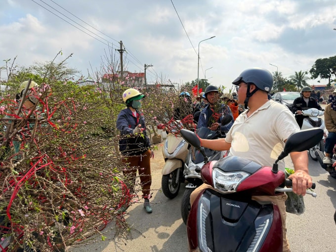Người dân đi mua đào ở phường Ngô Quyền, Hải Phòng. Ảnh: Quỳnh Nguyễn