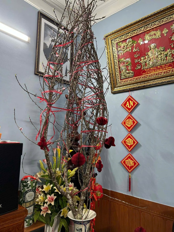 Chật vật săn đào nụ ngày giáp Tết - 1