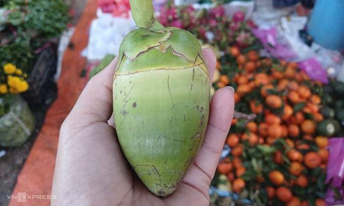 Dừa non mini có giá 25.000 đồng một quả tại chợ Đăk Hà (Kon Tum cũ) sáng 15/2 (28 tháng chạp). Ảnh: Thi Hà