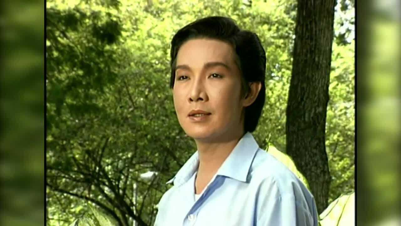 Phương Hồng Thủy, Vũ Linh hát tân cổ 