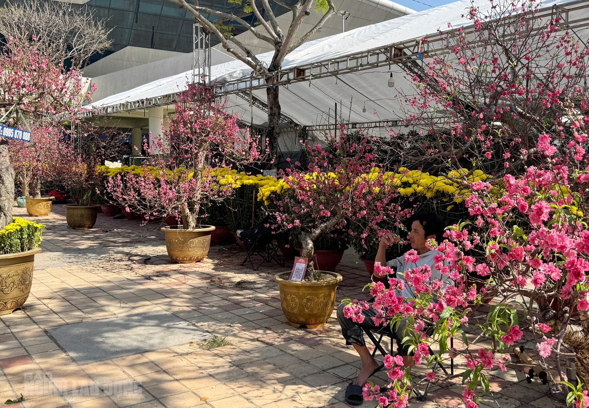 Chợ hoa Đà Nẵng ế ẩm ngày 28 Tết, tiểu thương “đứng ngồi không yên” - Ảnh 5.