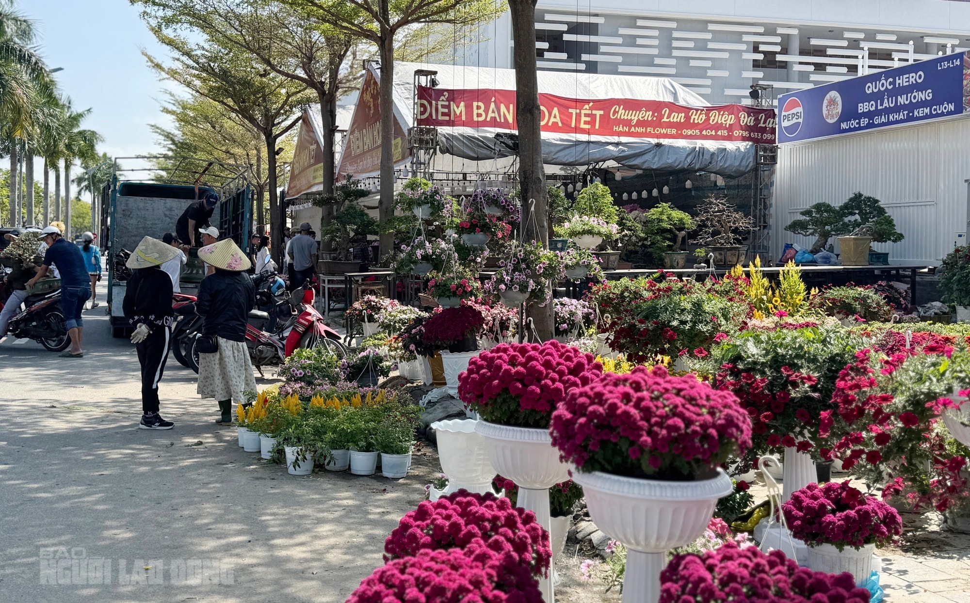 Chợ hoa Đà Nẵng ế ẩm ngày 28 Tết, tiểu thương “đứng ngồi không yên” - Ảnh 7.