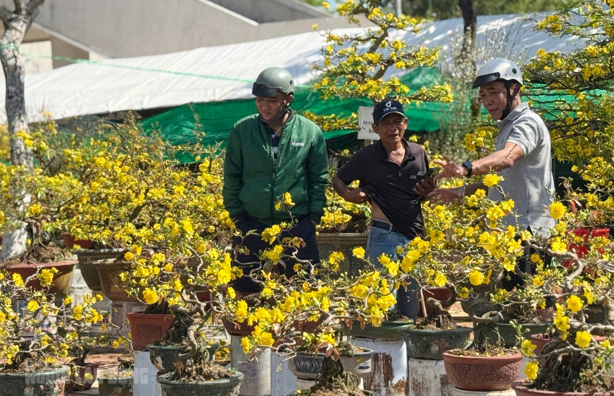 Chợ hoa Đà Nẵng ế ẩm ngày 28 Tết, tiểu thương “đứng ngồi không yên” - Ảnh 10.