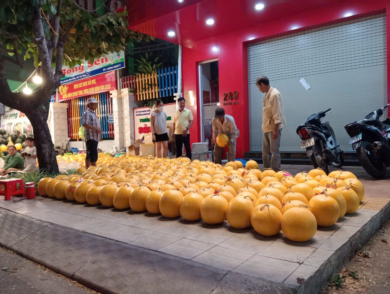 Dưa hấu Cần Thơ giảm giá kỷ lục 8 . 000 Đồng / kg trước Tết Nguyên đán 2026 - Ảnh 4.