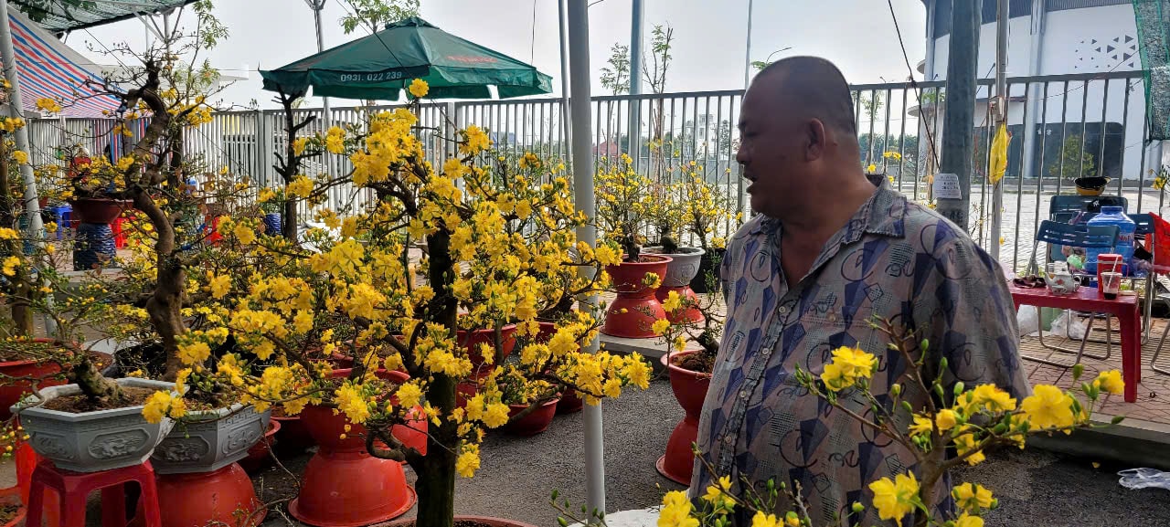 Tình hình kinh tế hoa kiểng tại Đồng Tháp và Cần Thơ năm 2026 - Ảnh 6.
