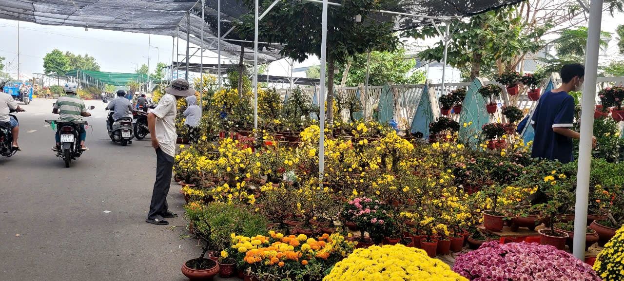 Tình hình kinh tế hoa kiểng tại Đồng Tháp và Cần Thơ năm 2026 - Ảnh 7.