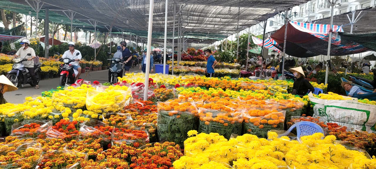 Tình hình kinh tế hoa kiểng tại Đồng Tháp và Cần Thơ năm 2026 - Ảnh 9.