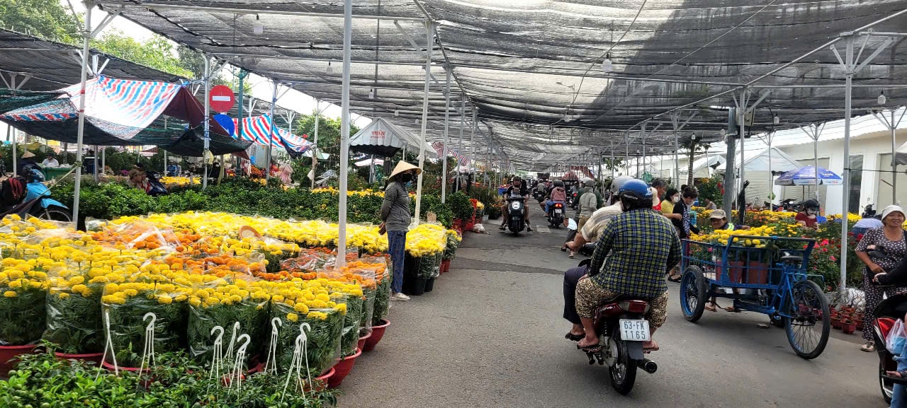 Tình hình kinh tế hoa kiểng tại Đồng Tháp và Cần Thơ năm 2026 - Ảnh 12.