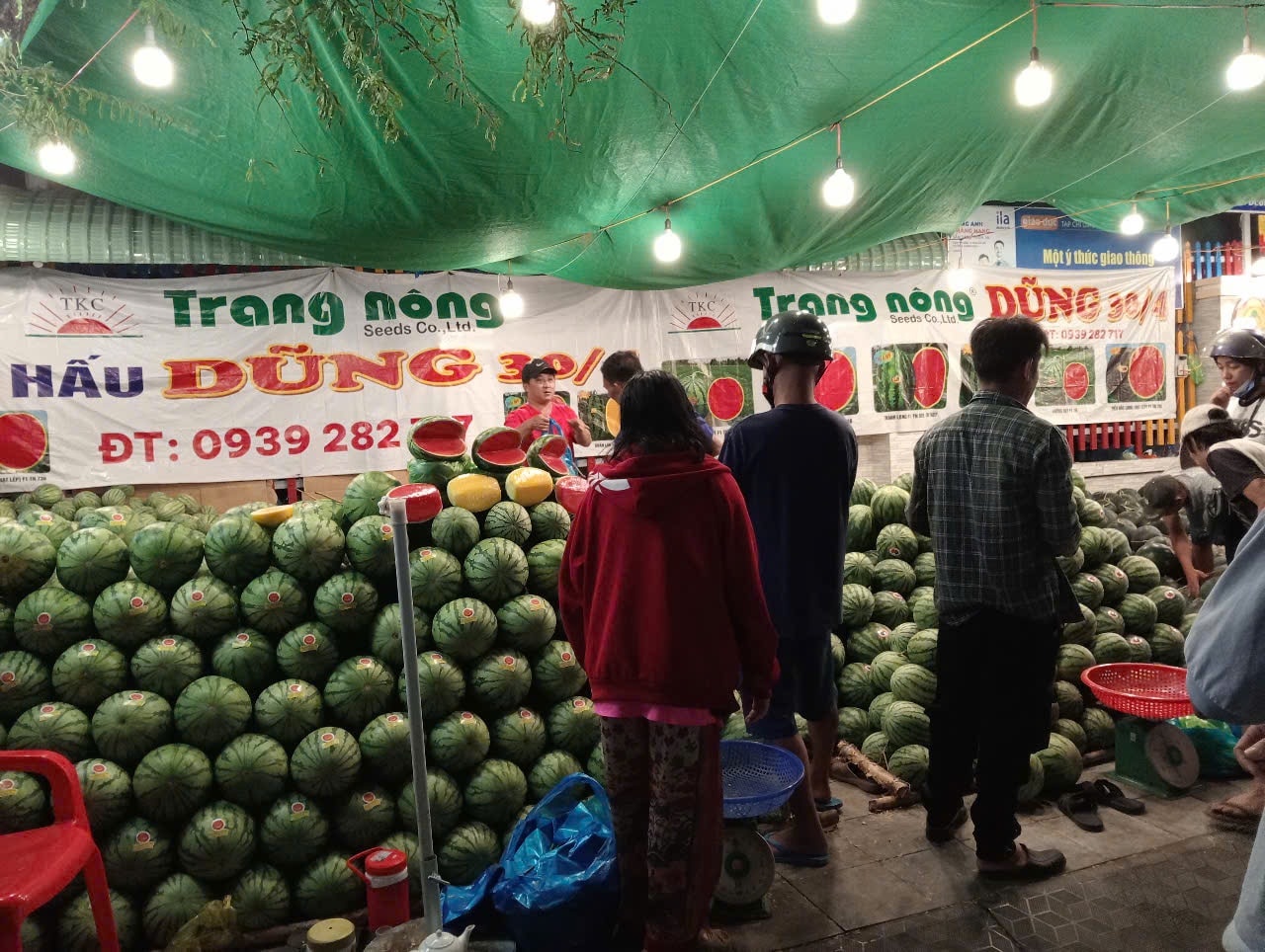 Dưa hấu Cần Thơ giảm giá kỷ lục 8 . 000 Đồng / kg trước Tết Nguyên đán 2026 - Ảnh 12.