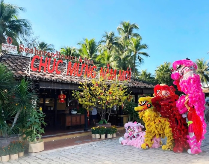 Du khách quốc tế trải nghiệm Tết Việt, gói bánh chưng tại Mũi Né - Ảnh 5.