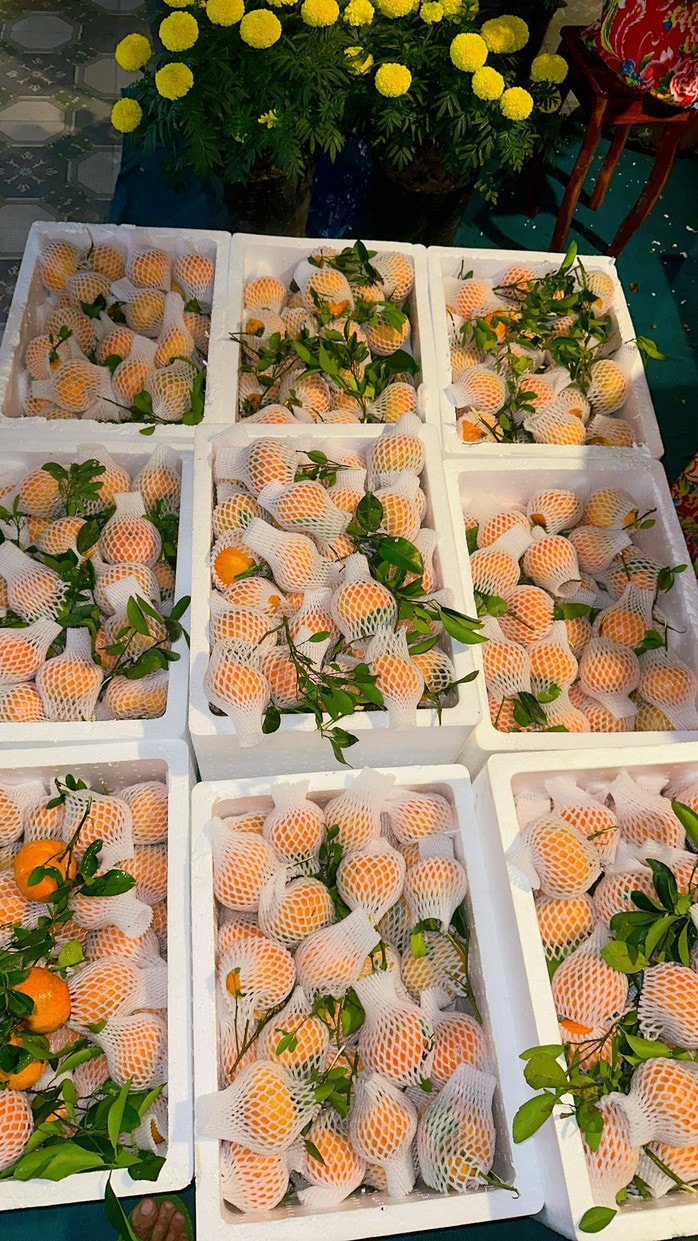 Nhà vườn tất bật thu hoạch quýt hồng ngày cuối để đón Tết - Ảnh 16.