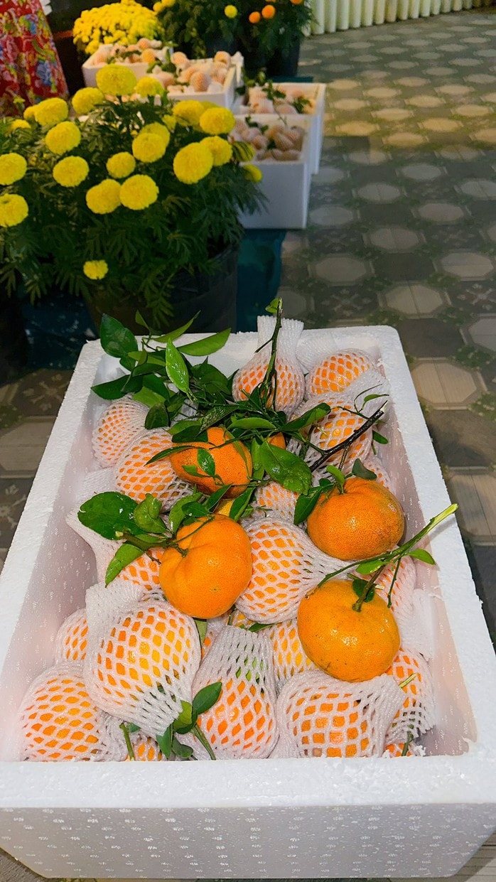 Nhà vườn tất bật thu hoạch quýt hồng ngày cuối để đón Tết - Ảnh 15.