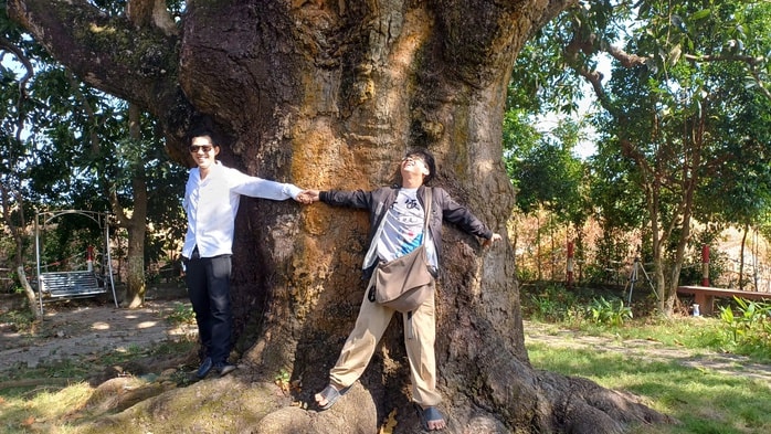 VIDEO: Cây xoài hơn 300 tuổi ở Cà Mau và giai thoại "thần hổ" - Ảnh 11.