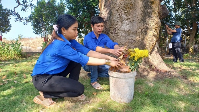 VIDEO: Cây xoài hơn 300 tuổi ở Cà Mau và giai thoại "thần hổ" - Ảnh 9.