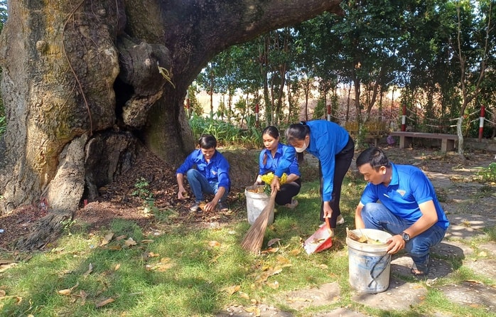 VIDEO: Cây xoài hơn 300 tuổi ở Cà Mau và giai thoại "thần hổ" - Ảnh 10.