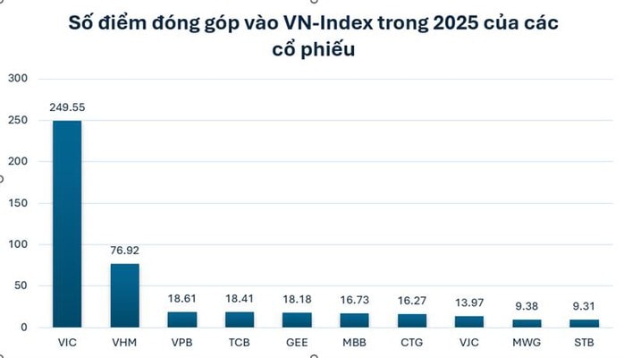 Tết buồn của các nhà đầu tư chứng khoán Việt Nam - Ảnh 4.