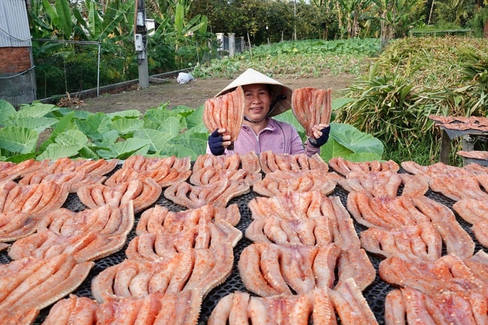 Khô cá lóc Cần Thơ: Nguồn thu nhập ổn định cho Người dân dịp Tết 2026 - Ảnh 2. Khô cá lóc Cần Thơ: Nguồn thu nhập ổn định cho Người dân dịp Tết 2026 - Ảnh 2.