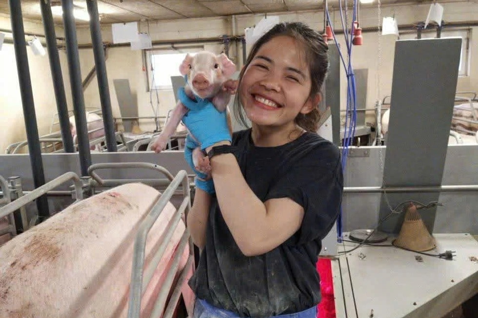 Lao động Việt ở nước ngoài đón Tết xa nhà, nuốt nước mắt để đổi ấm no - 1