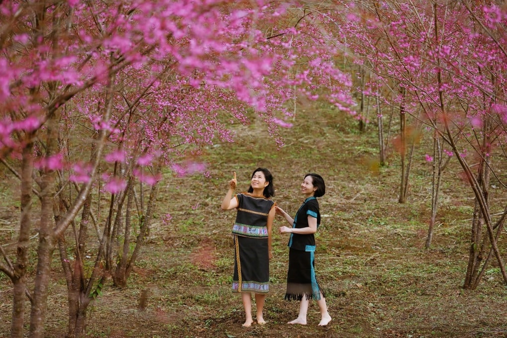 Thổn thức với loài hoa của núi rừng ở cao nguyên Măng Đen - 3